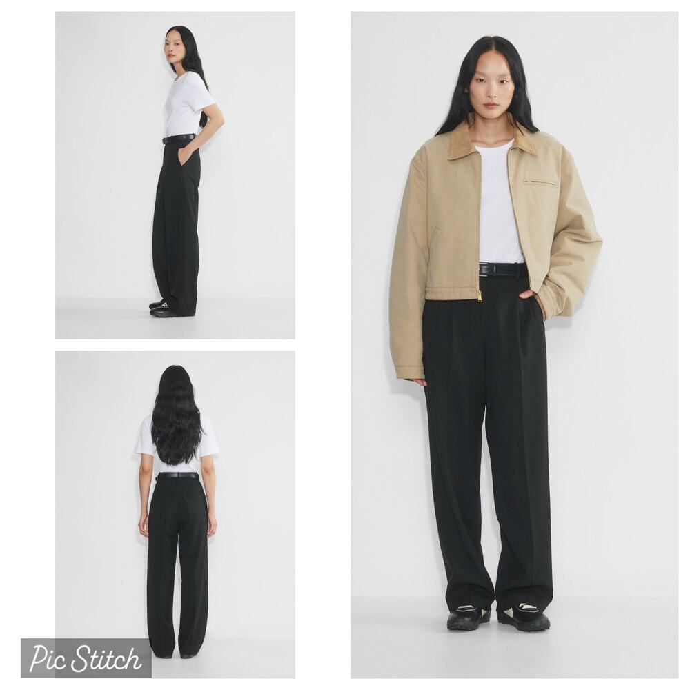 Aritzia Wilford The Effortless Pant Crepette Black Pleated Trousers Size 6